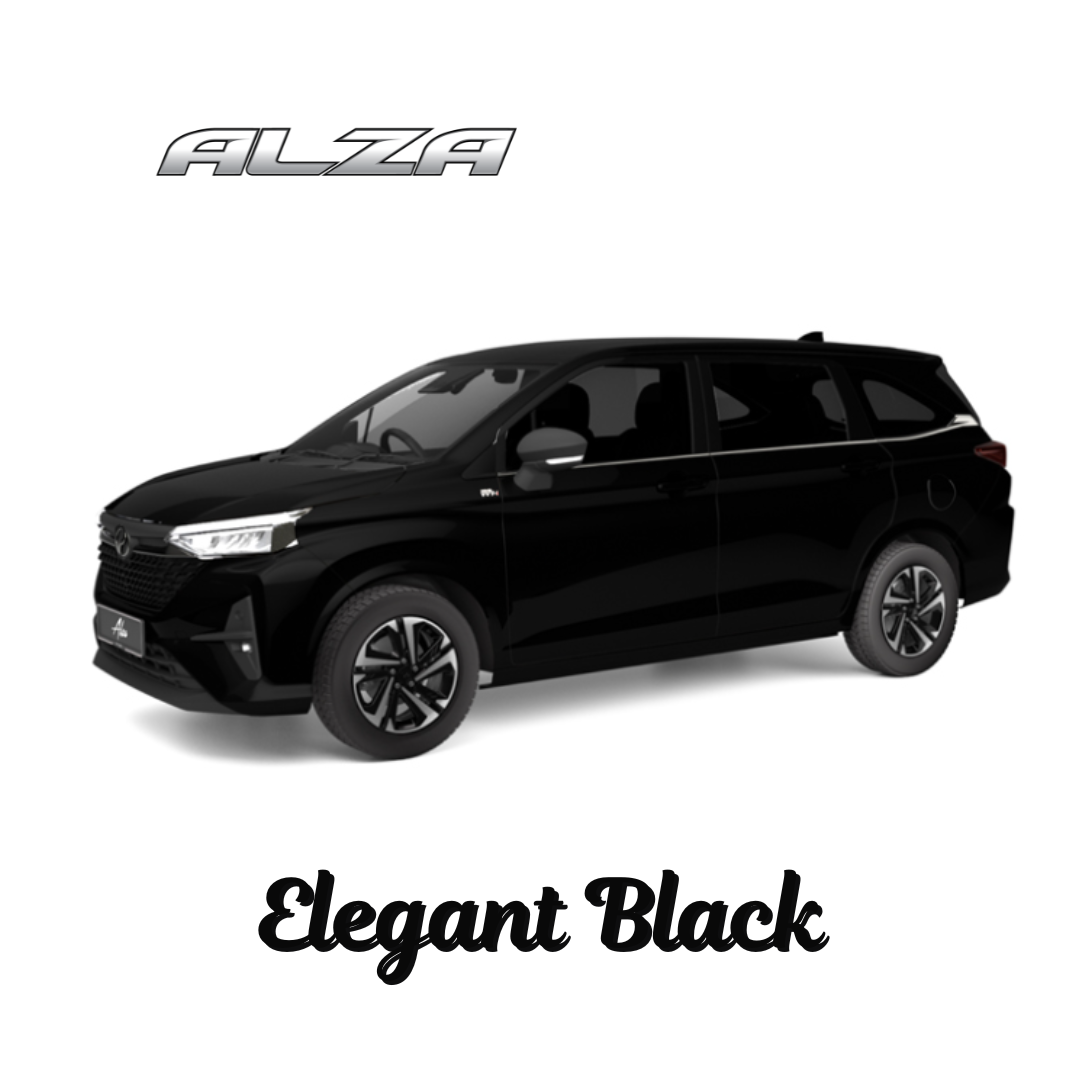 alza (2) alza (2)