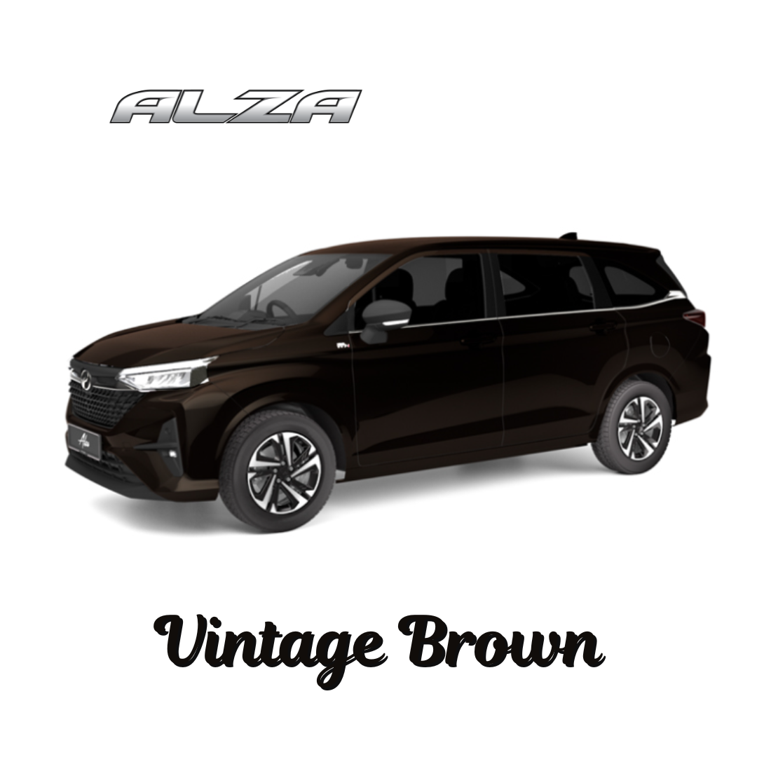 alza alza